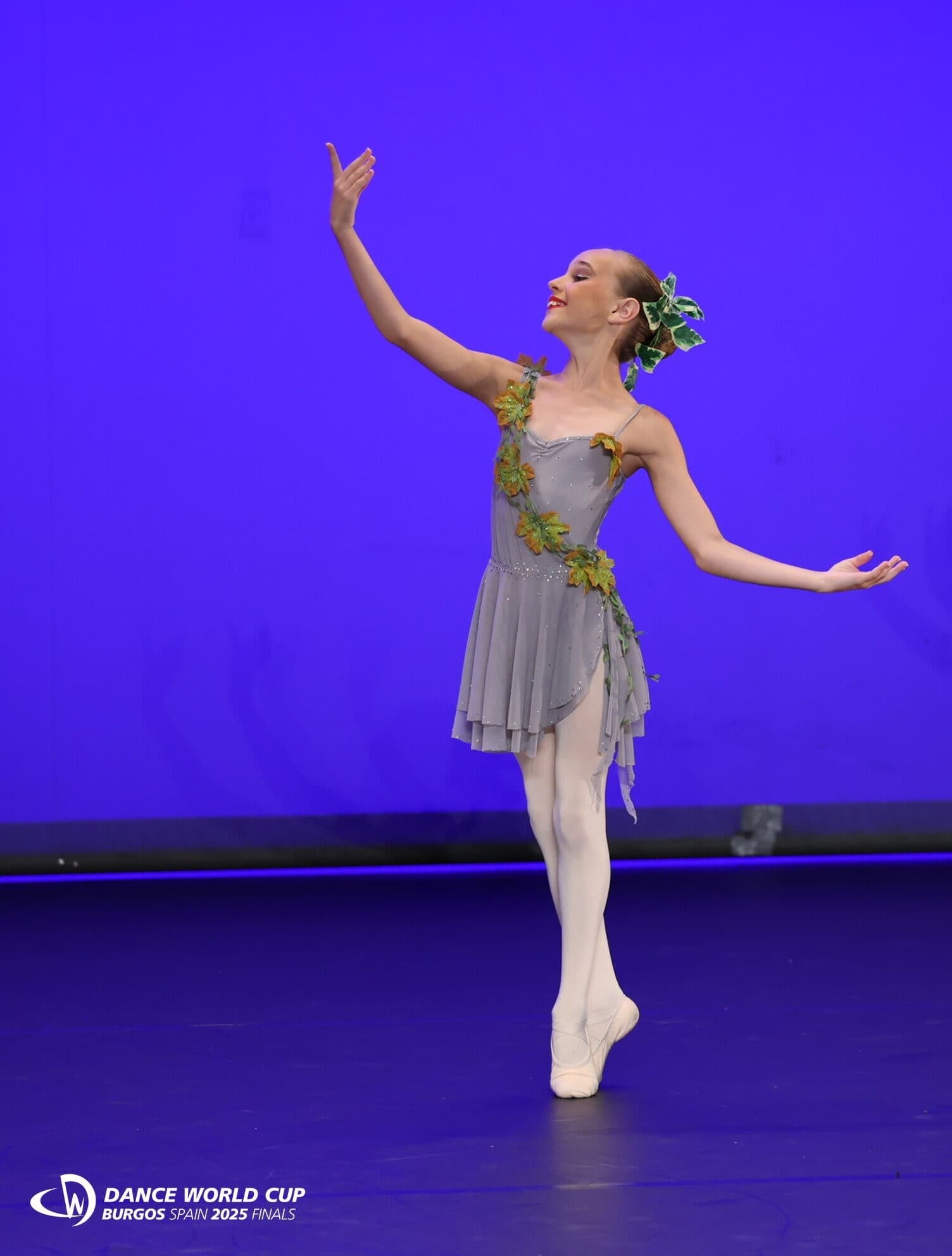 Statues Grey Ballet Dress 