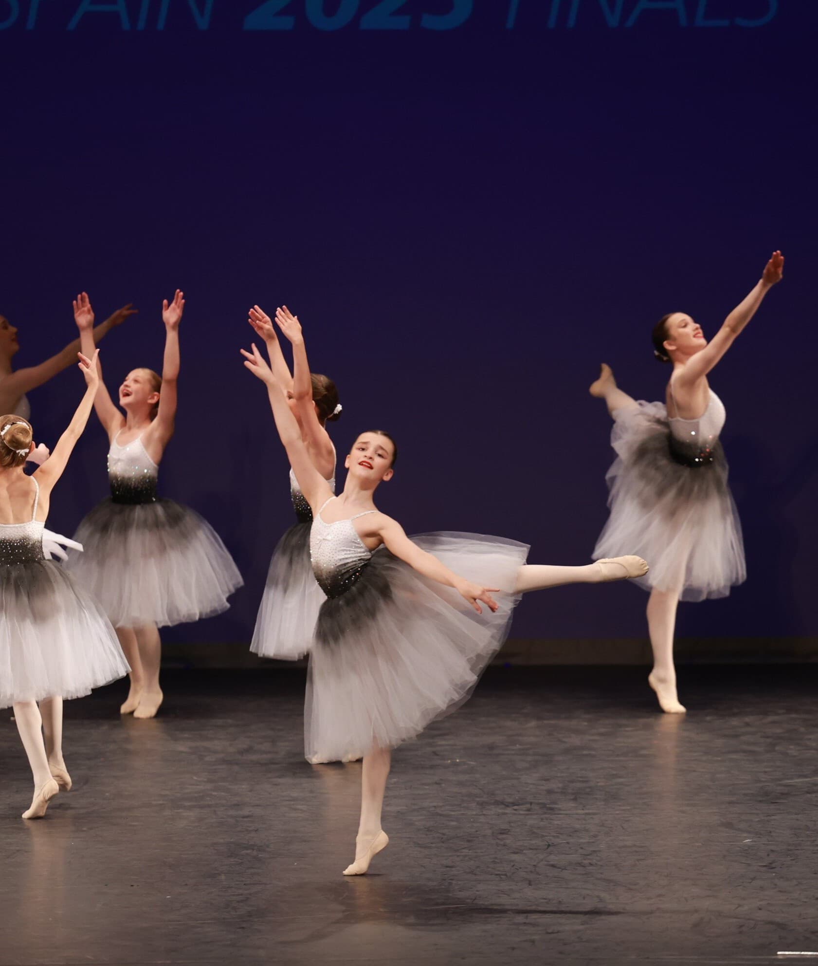 1st Position Ombré Romantic Tutu thumbnail 2