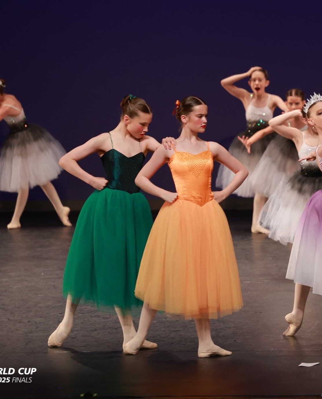 Cinderella Evil Step Sisters Romantic Tutu