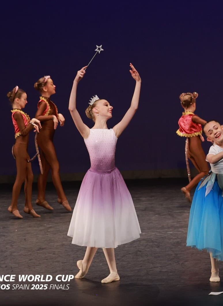 Cinderella Fairy Godmother Leotard and Skirt