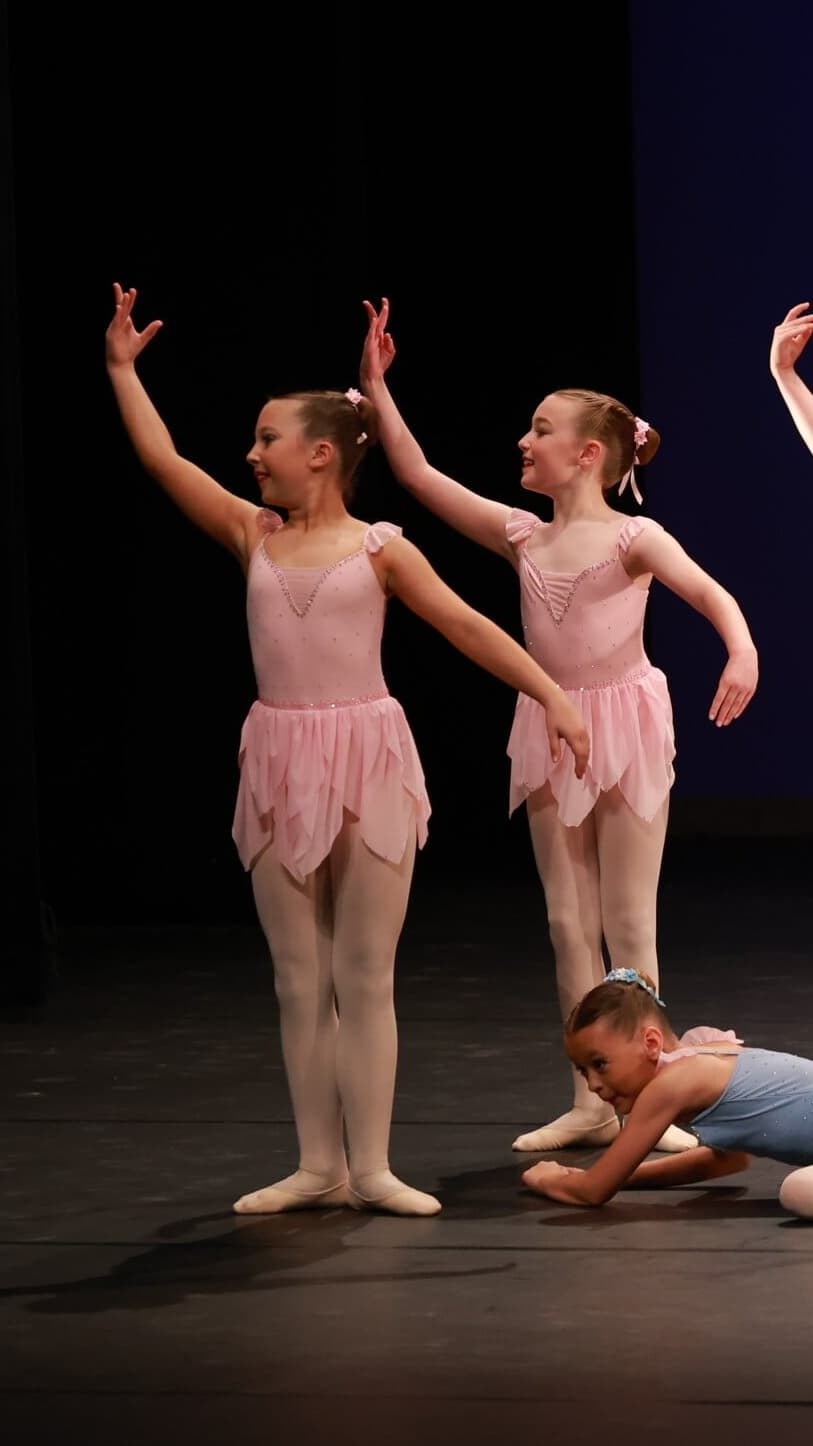 Midsummer Nights Dream Fairy Dress 