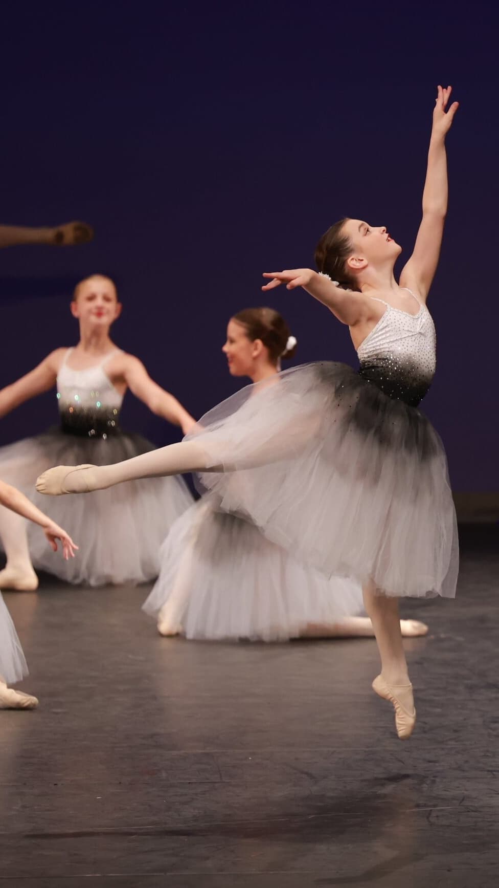 1st Position Ombré Romantic Tutu