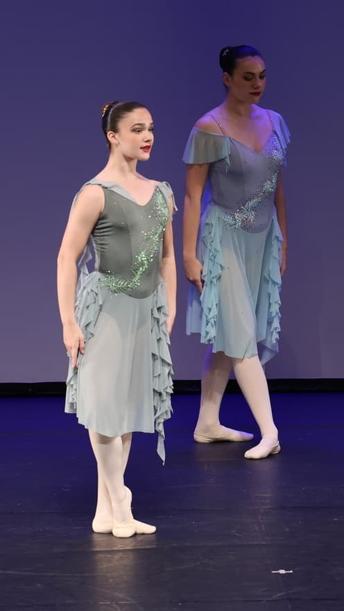 Elements Ballet Dress