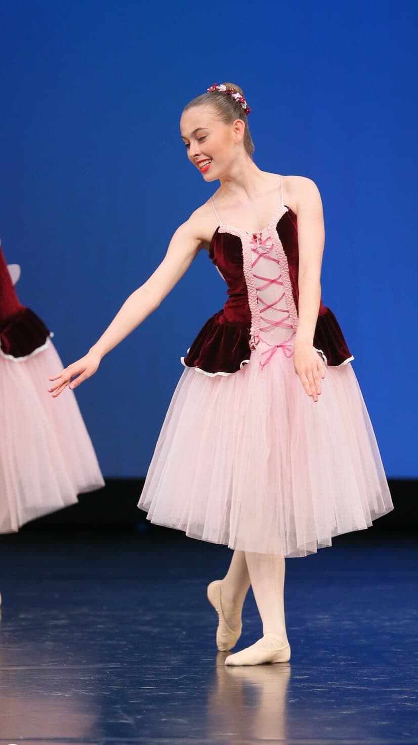 Burgundy Romantic Tutu with Wings