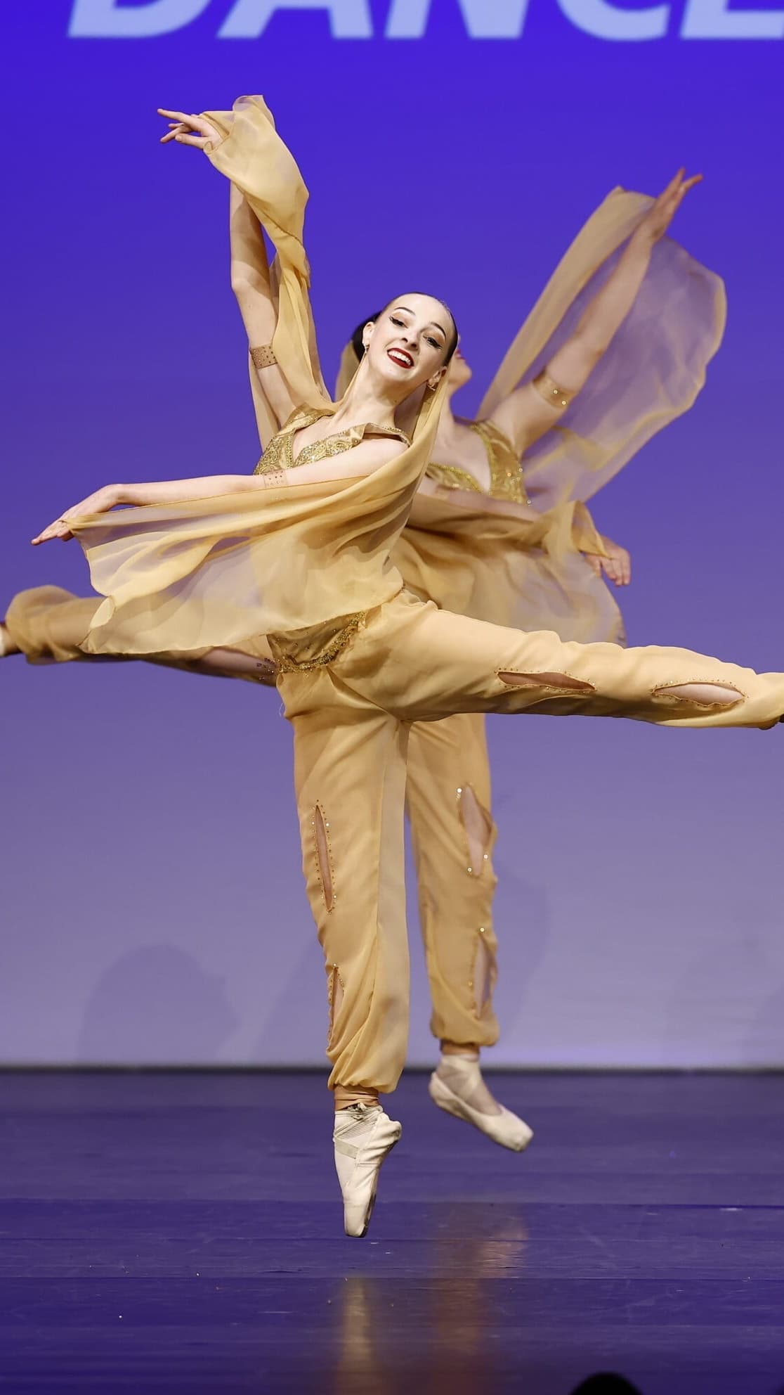 La Bayadere Gold Arbaian Trousers and Top thumbnail 2